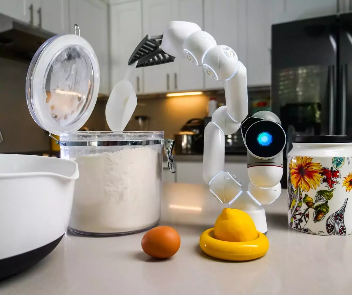 Rent a Robot: The Next Digital Disruption and What It Means For Your Business